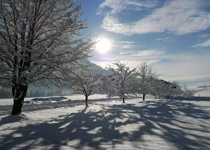 Bergblick Appartement Kössen