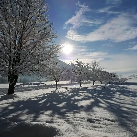 Bergblick Appartement Kössen