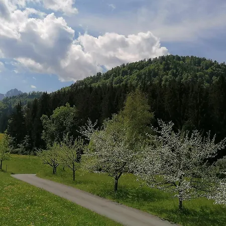 Appartement Bergblick