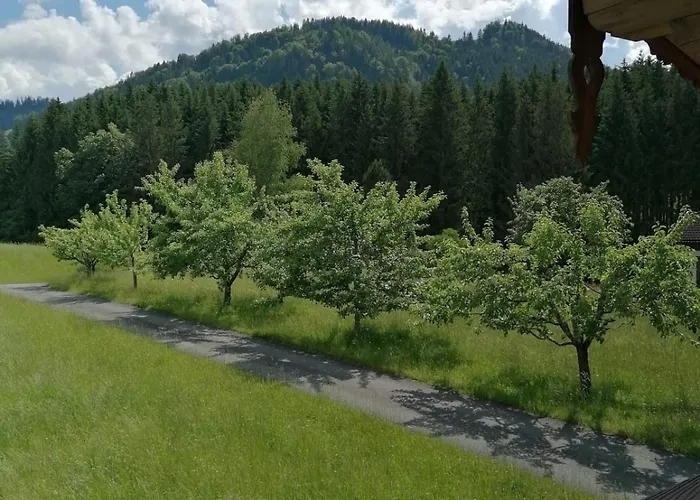 Bergblick 아파트 *